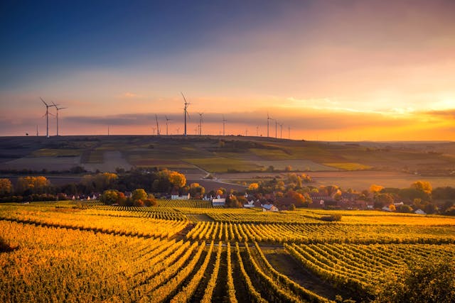 Farm with windmills in background